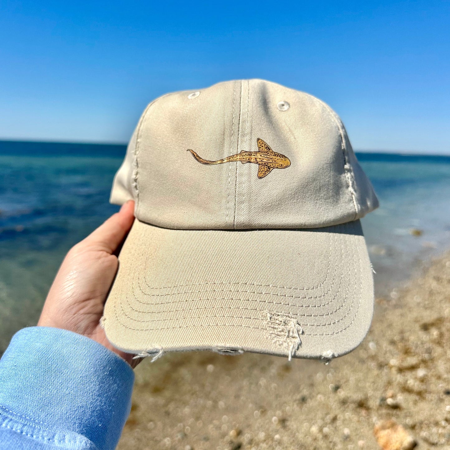 Zebra Shark Hat