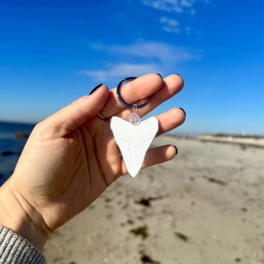 Megalodon Keychain