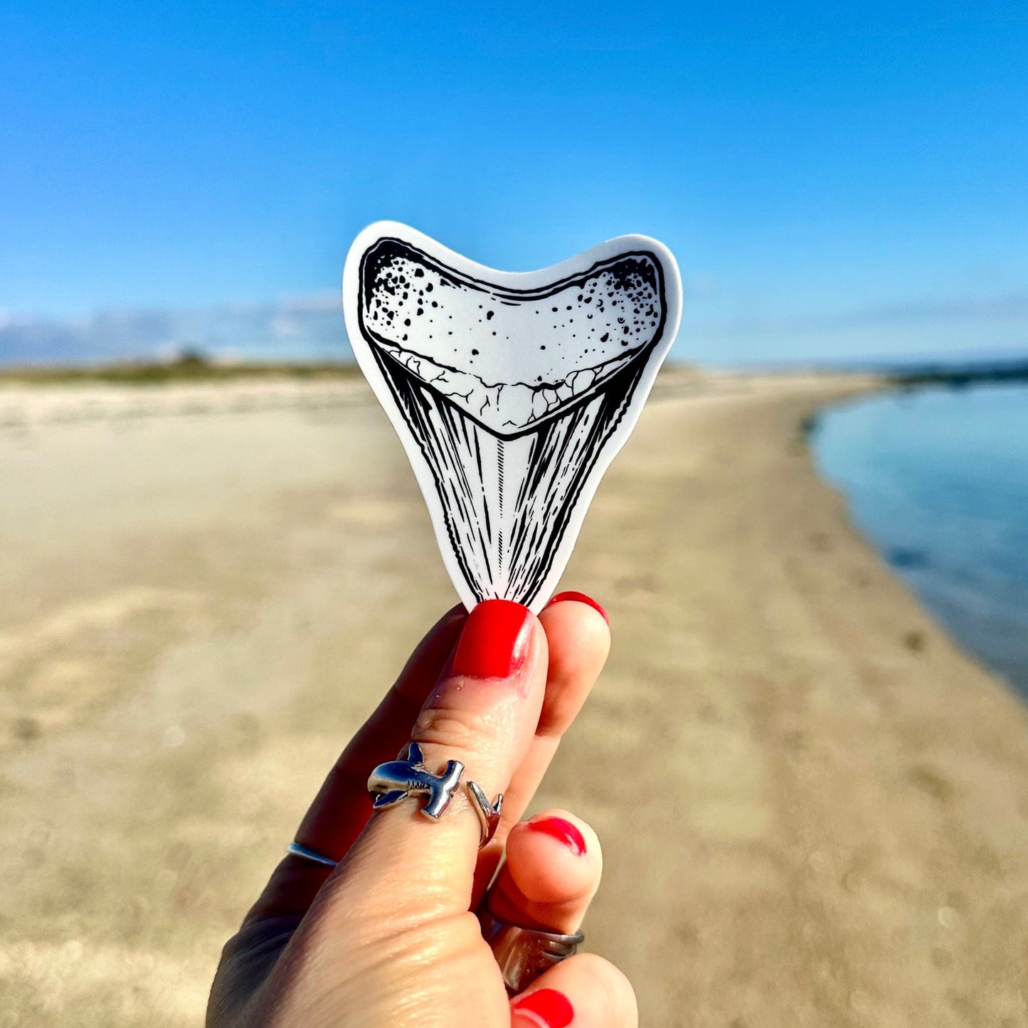 Megalodon Sticker