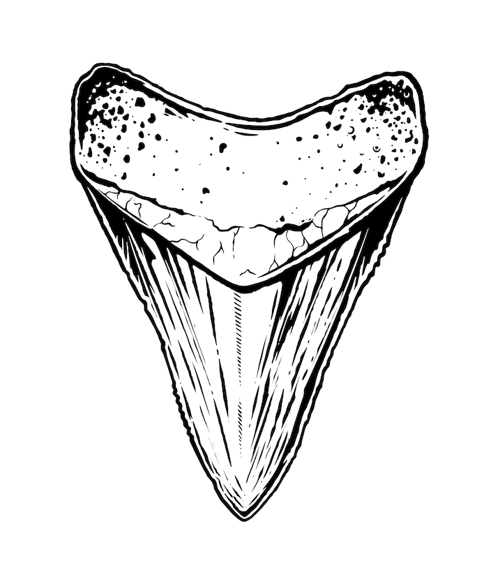 Megalodon Sticker