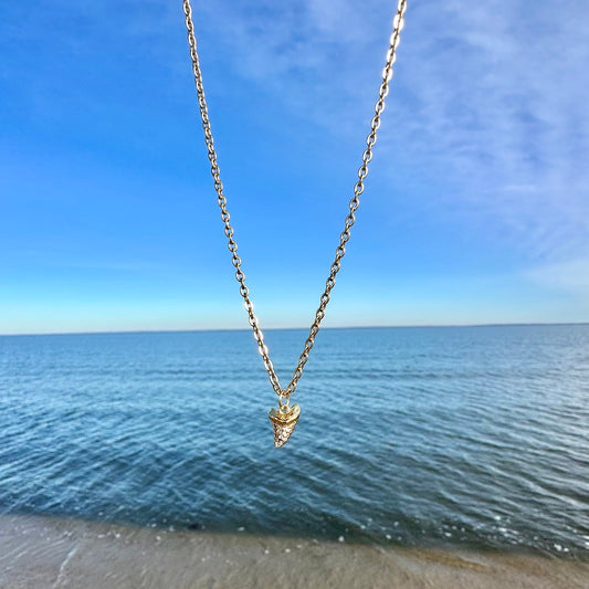 Shark Tooth Cubic Zirconia Necklace
