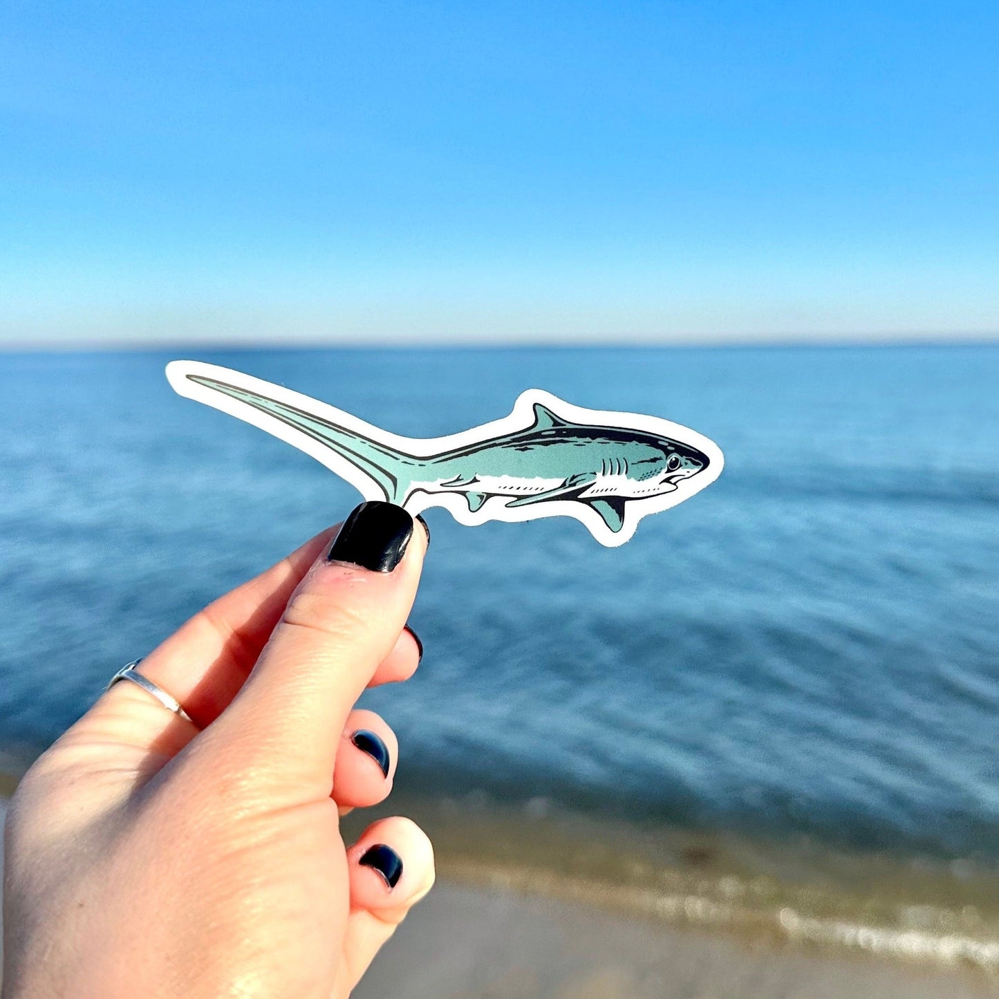 Thresher Shark Sticker