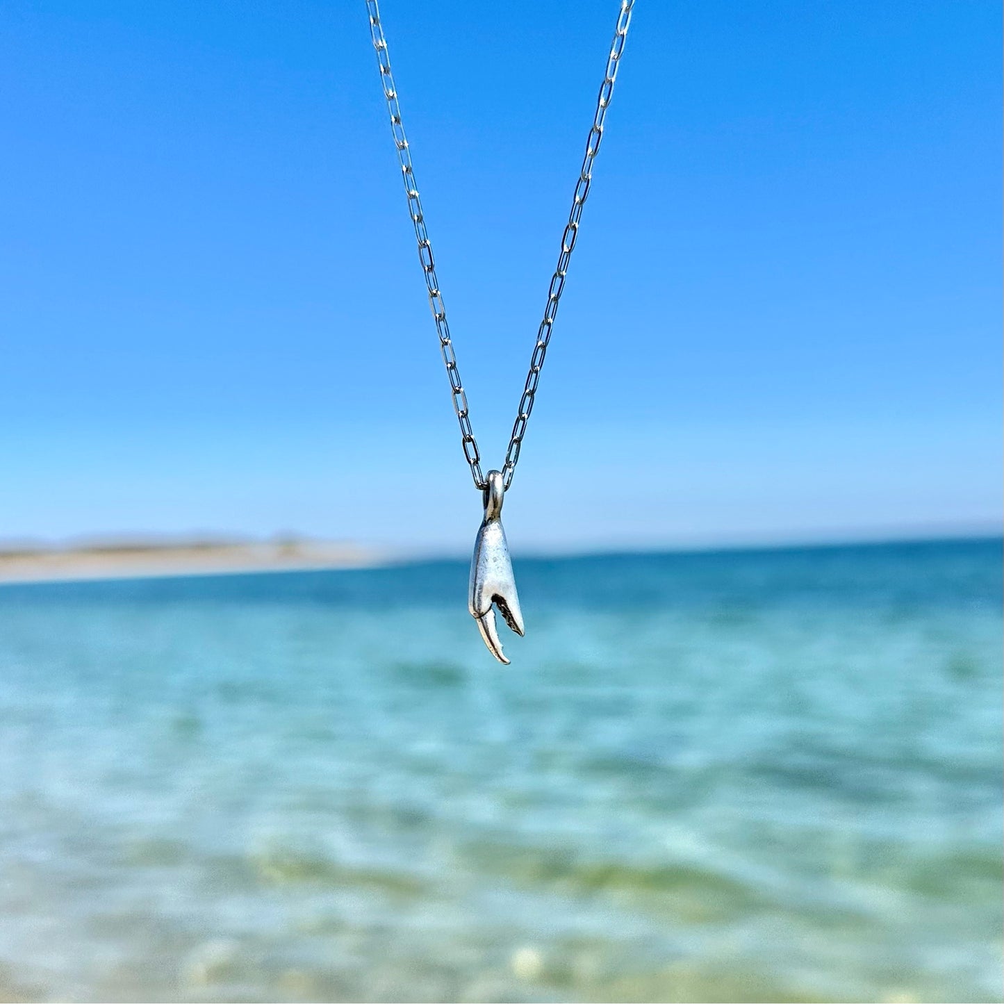 Crab Claw Necklace