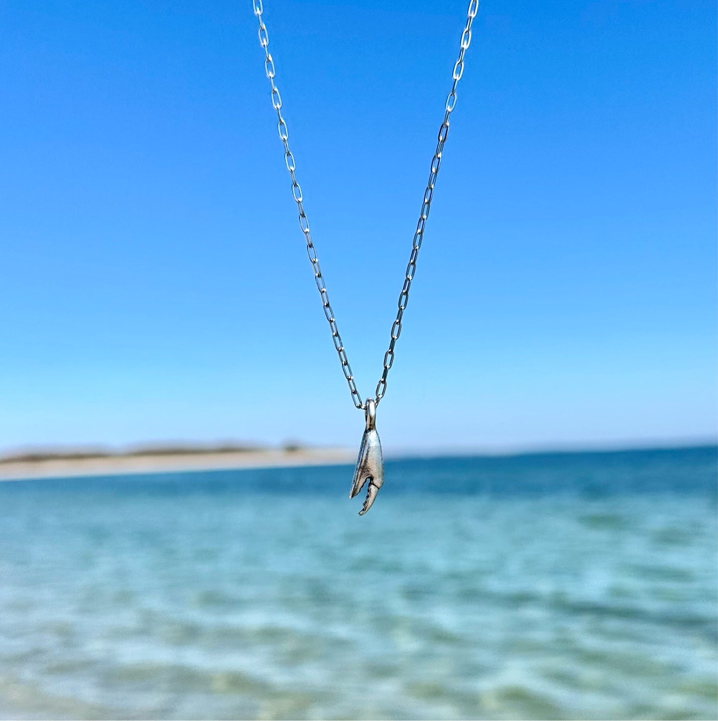 Crab Claw Necklace