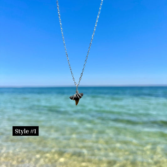 Venice Beach Fossilized Shark Tooth Necklace