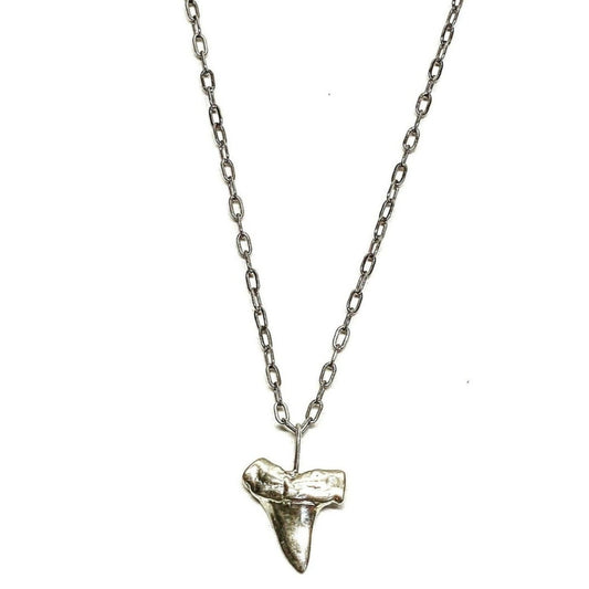 Shark Tooth Necklace