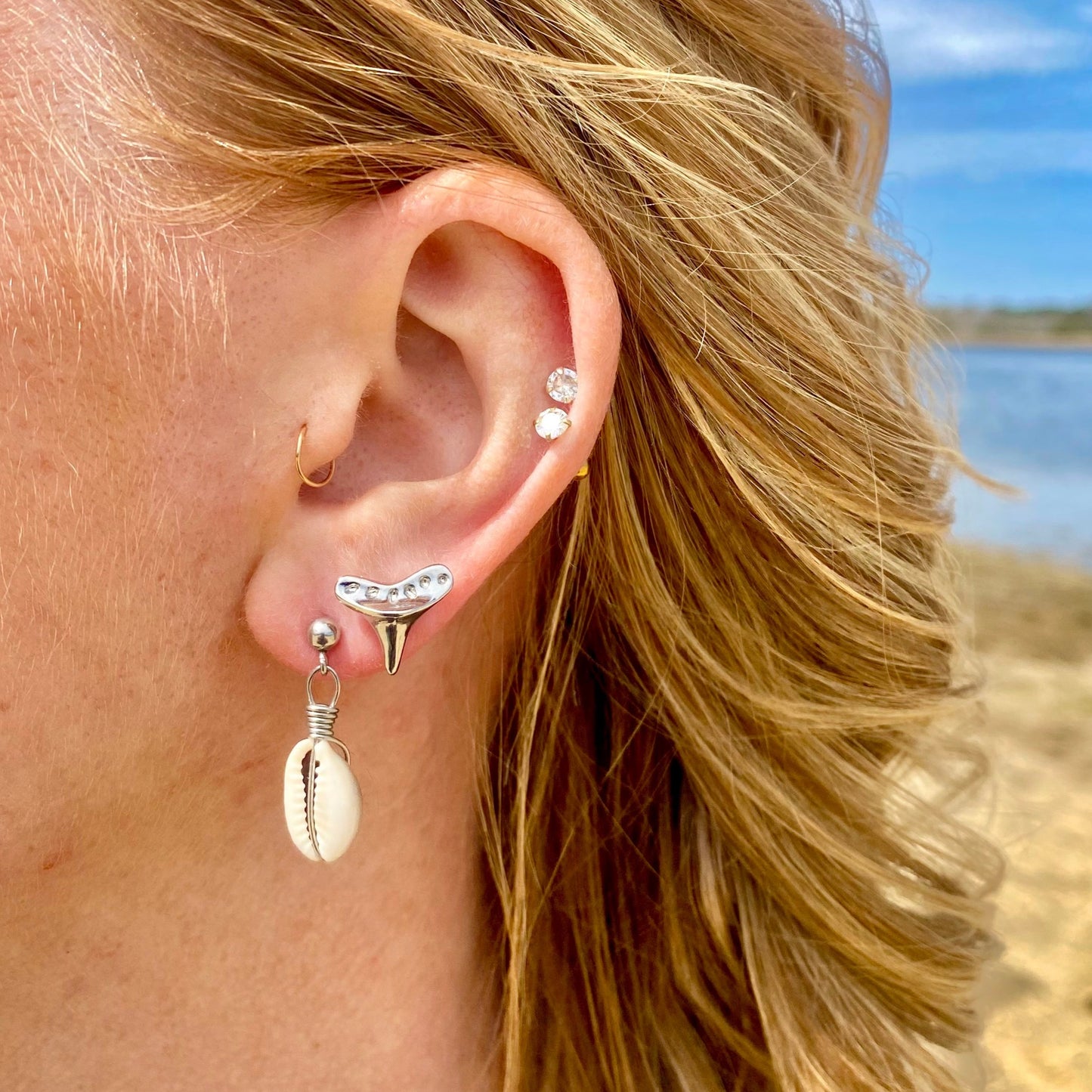 Cowrie Shell Earrings