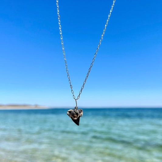 Juno Beach Fossilized Shark Tooth Necklace