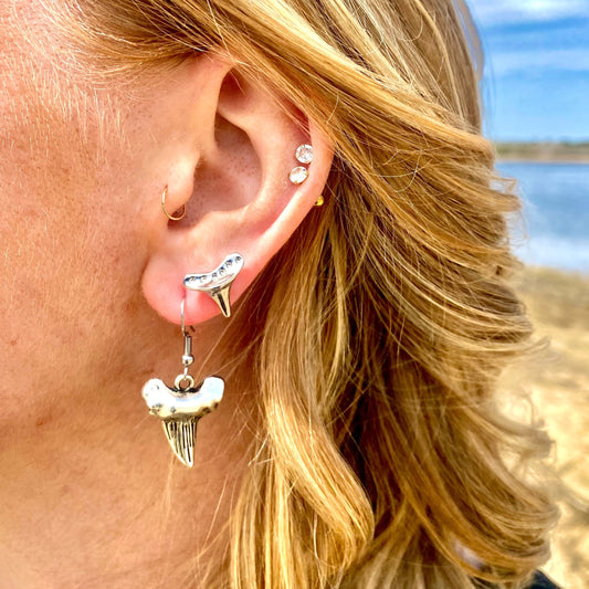 Megalodon Earrings