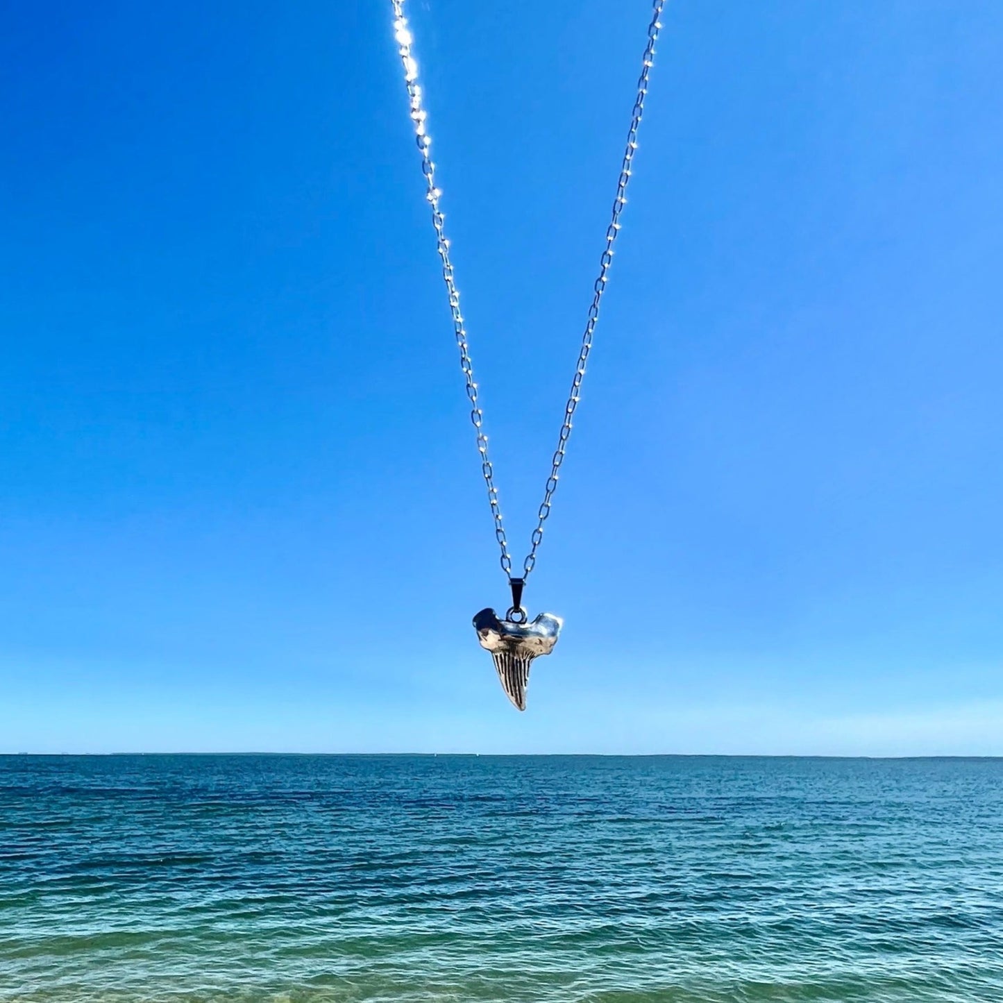 Megalodon Necklace