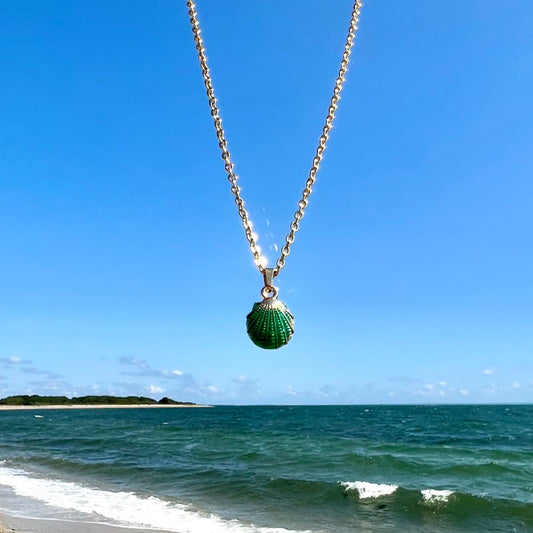 Seashell Necklace