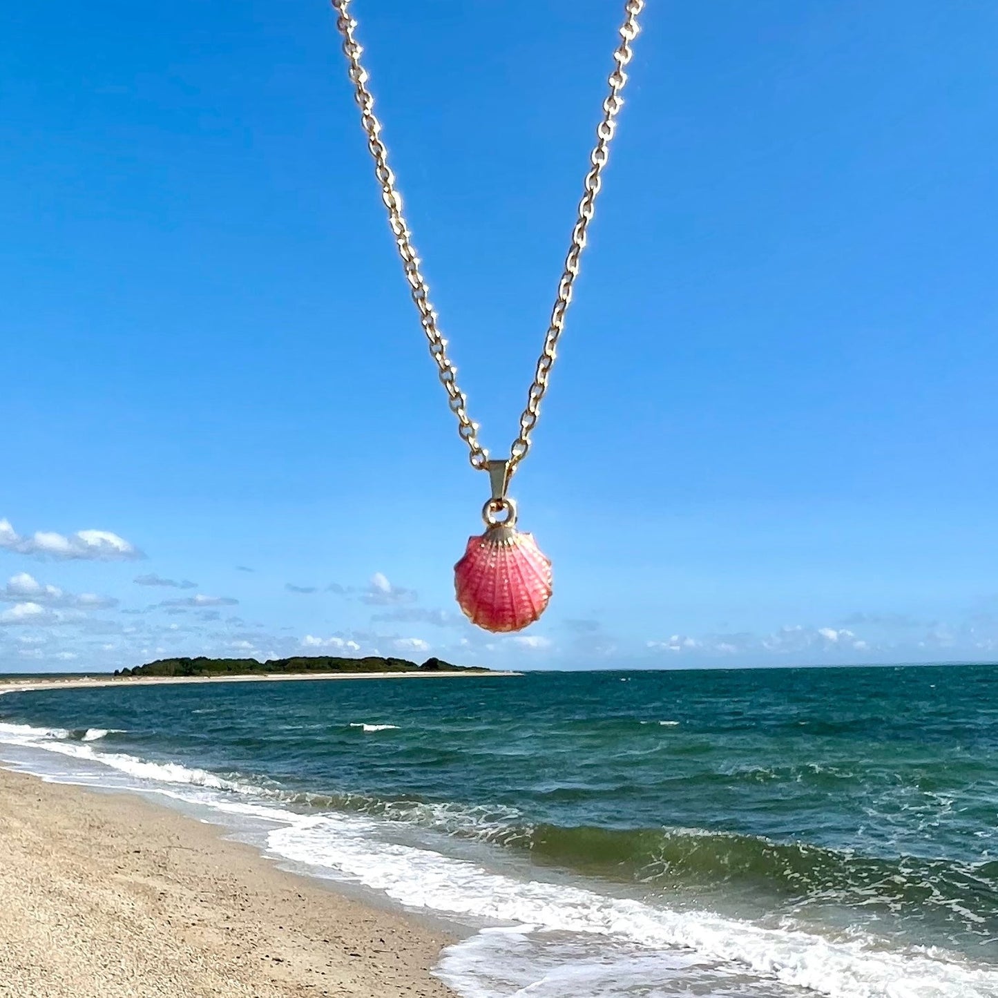 Seashell Necklace