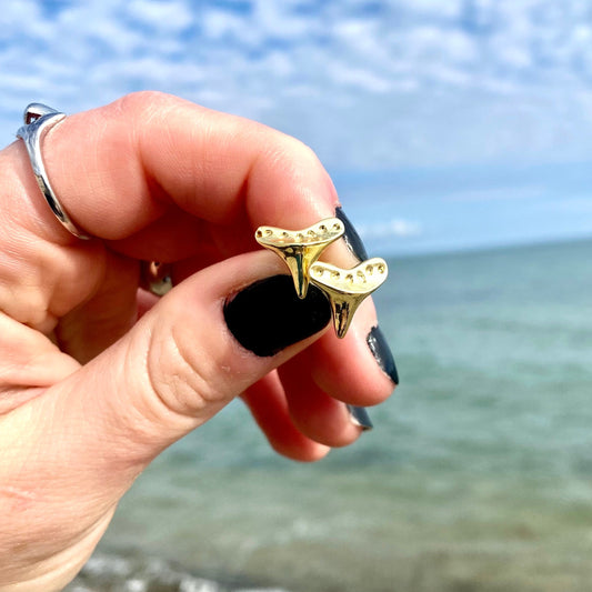 Shark Tooth Studs