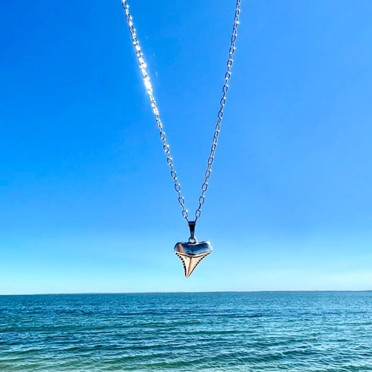 Shark Tooth Necklace