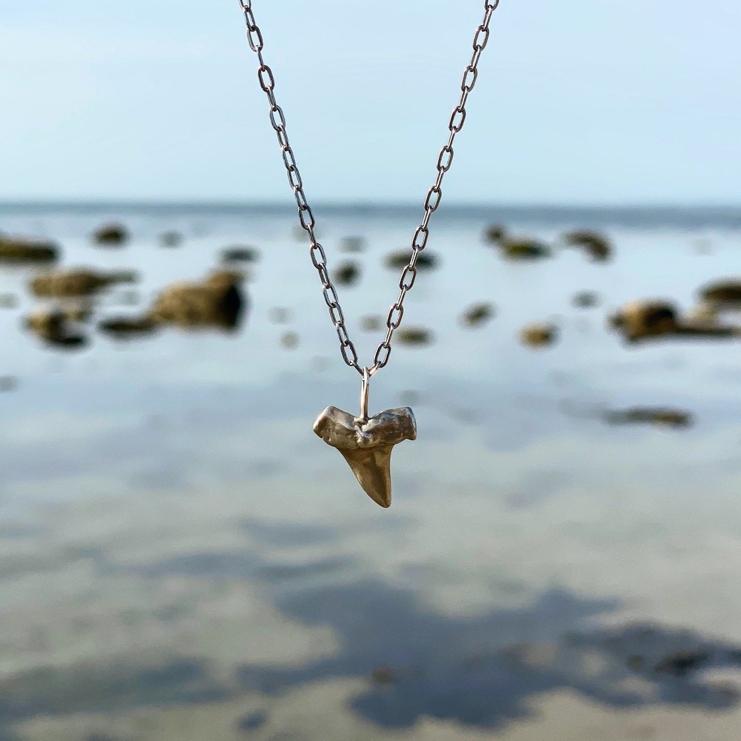 Shark Tooth Necklace