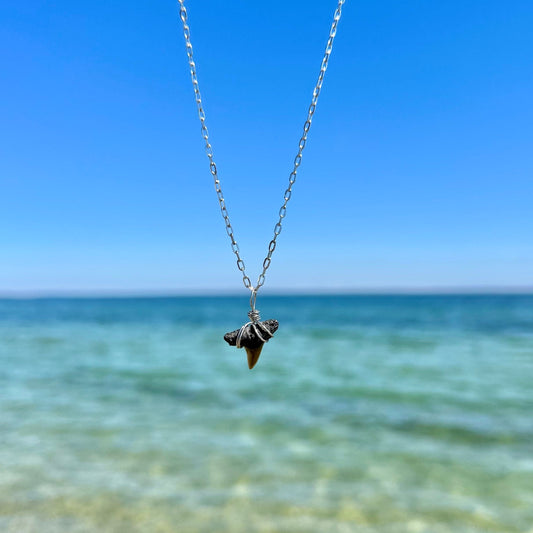 Venice Beach Fossilized Shark Tooth Necklace