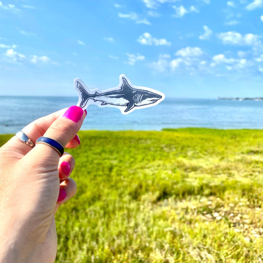Atlantic White Shark Sticker