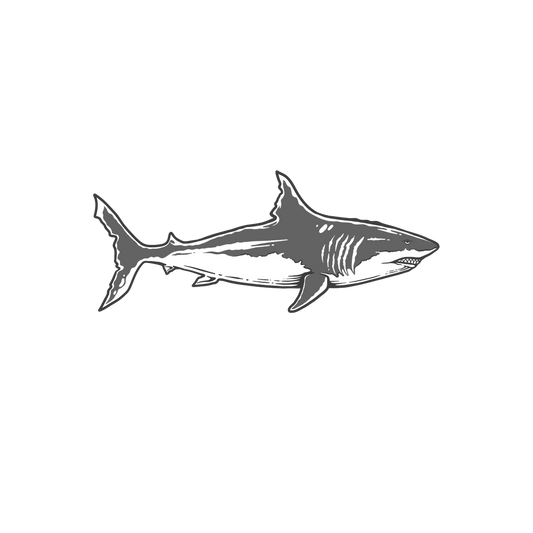 Atlantic White Shark Sticker