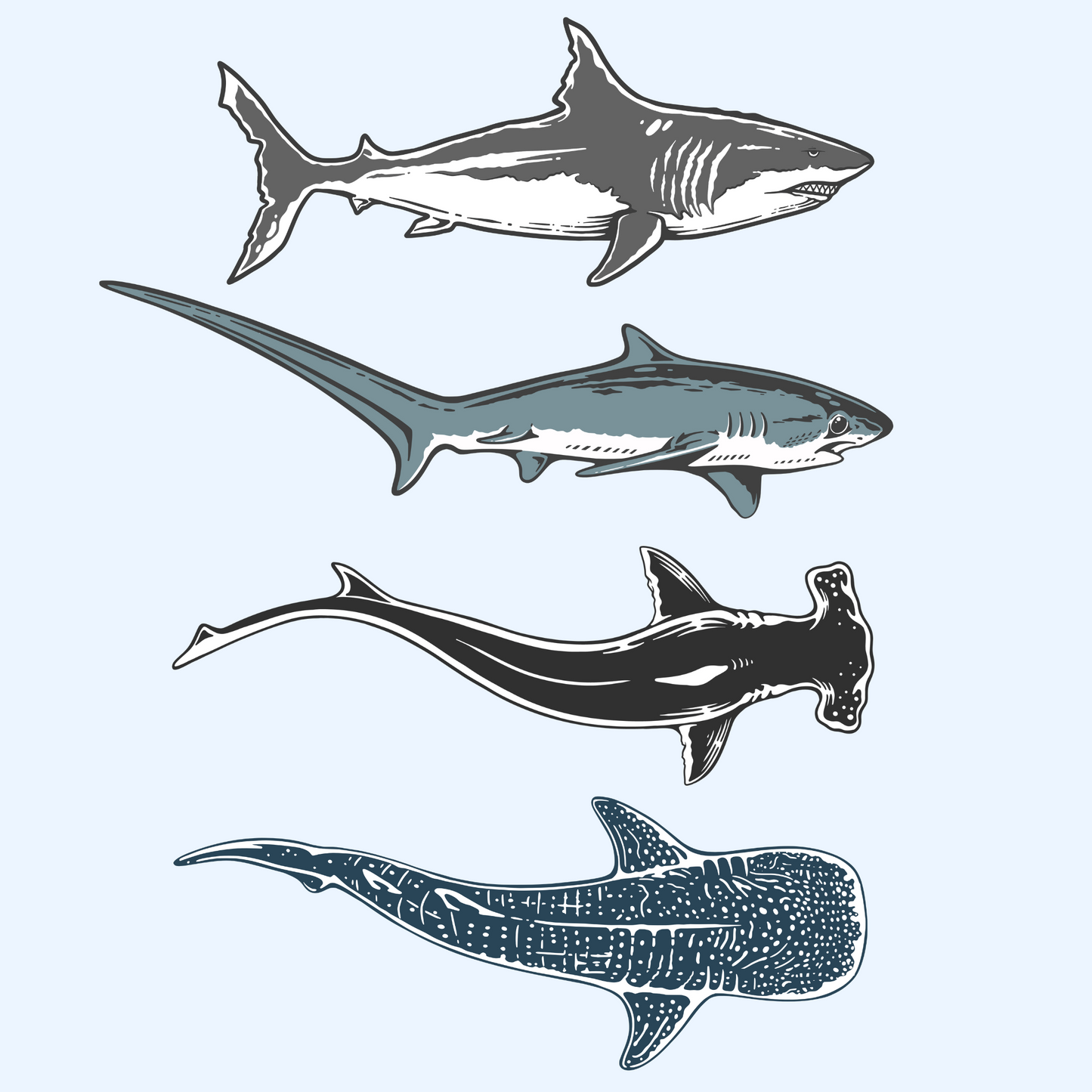 Sticker Pack - Sharks of the ocean