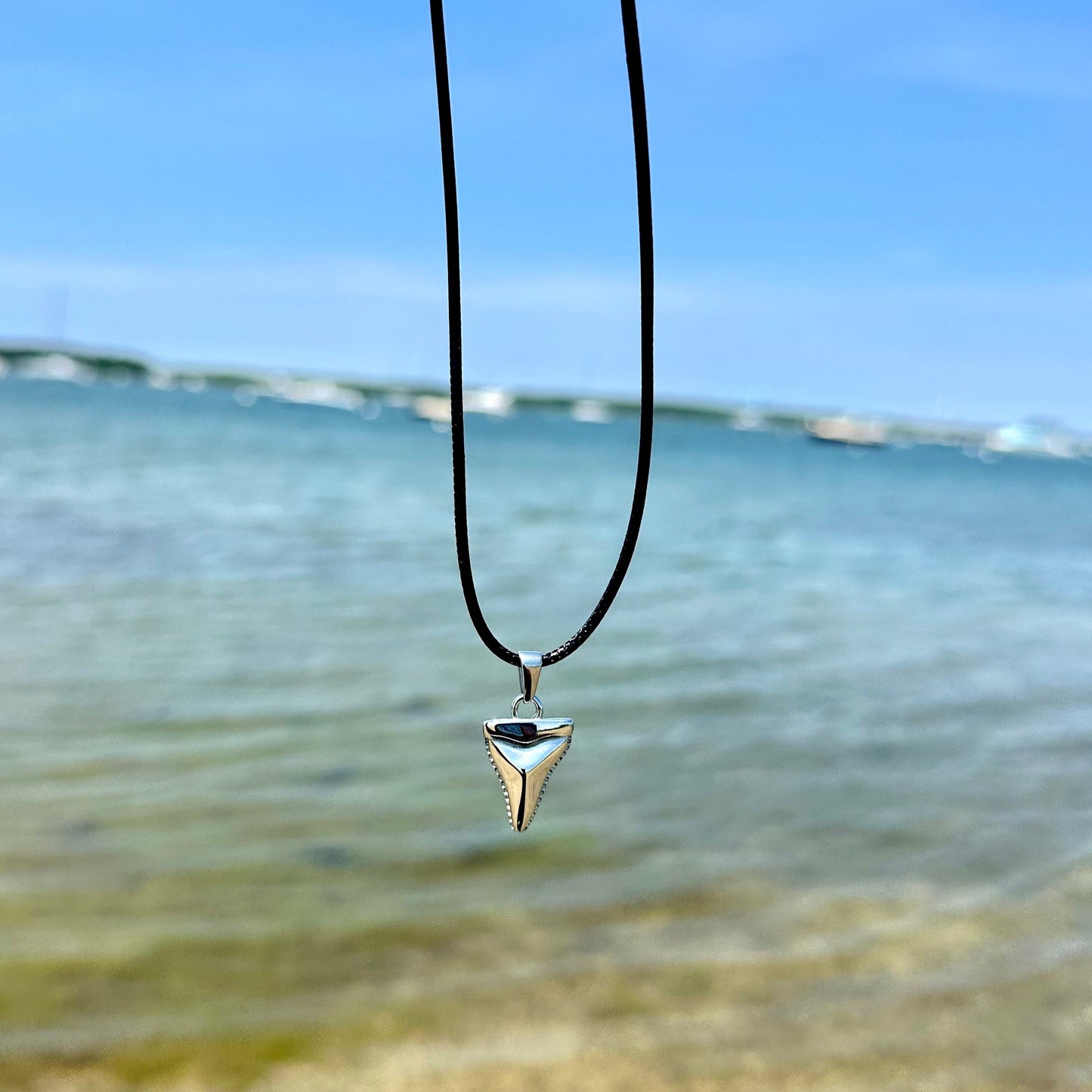 Shark Tooth Necklace with Black Rope
