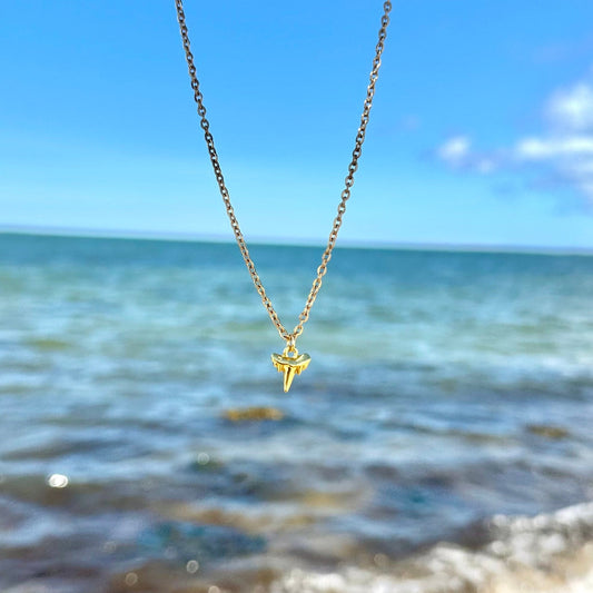 Mini Shark Tooth Necklace