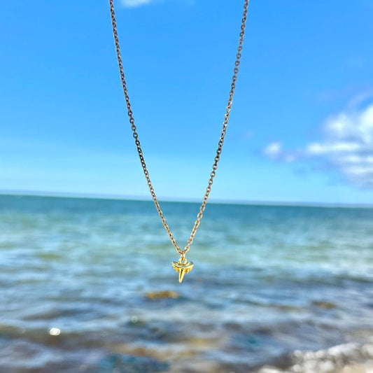 Mini Shark Tooth Necklace