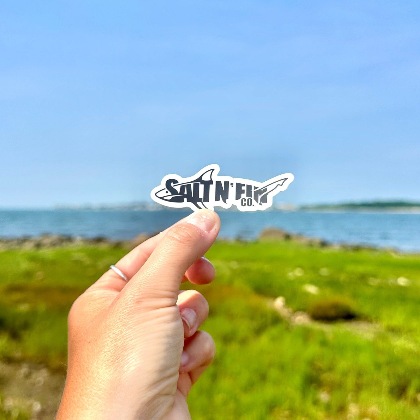 Salt N' Fin Co. Sticker