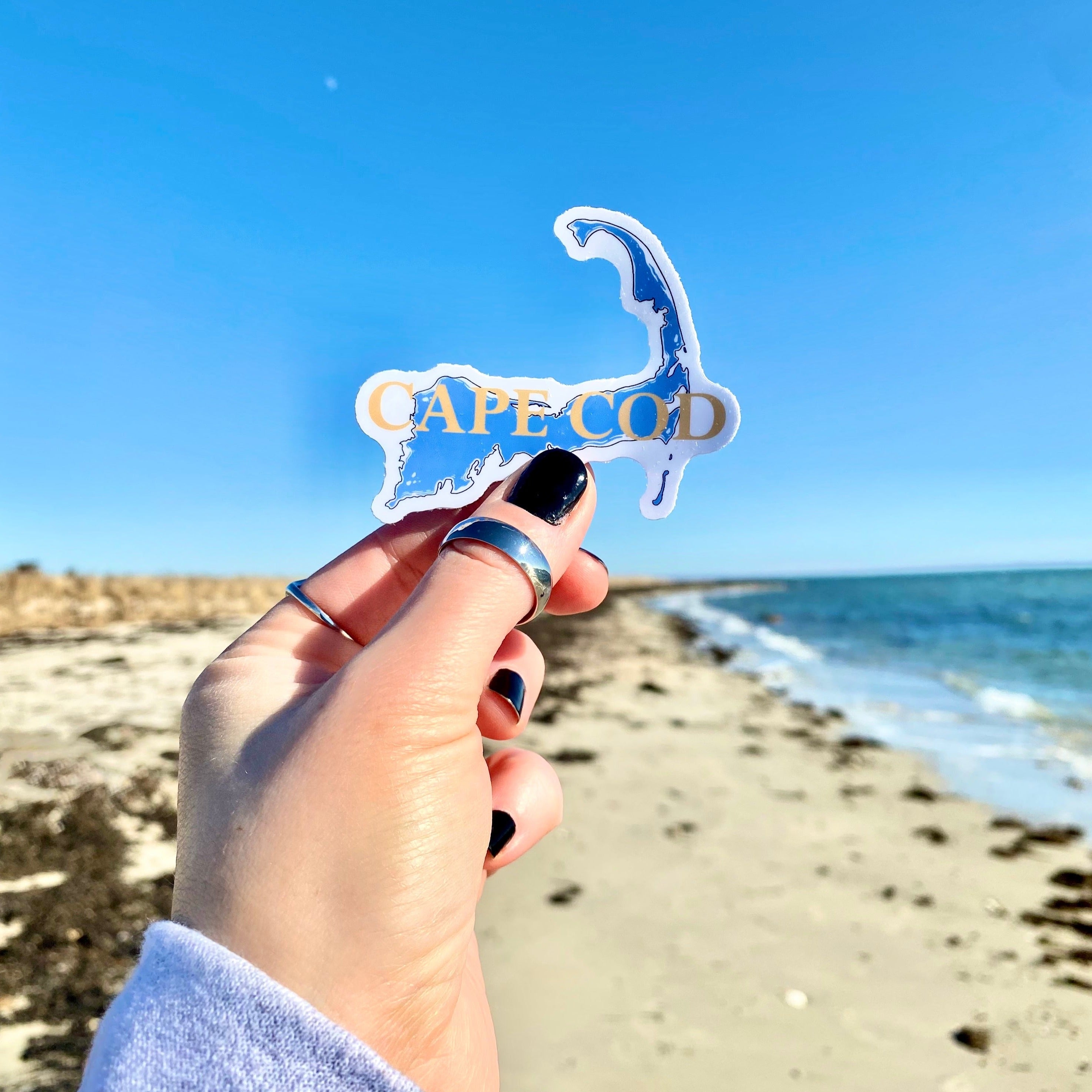 Cape Cod Sticker – Salt N' Fin Co.