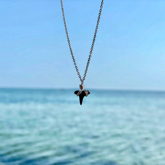 Lemon Shark Tooth Necklace ~ Small
