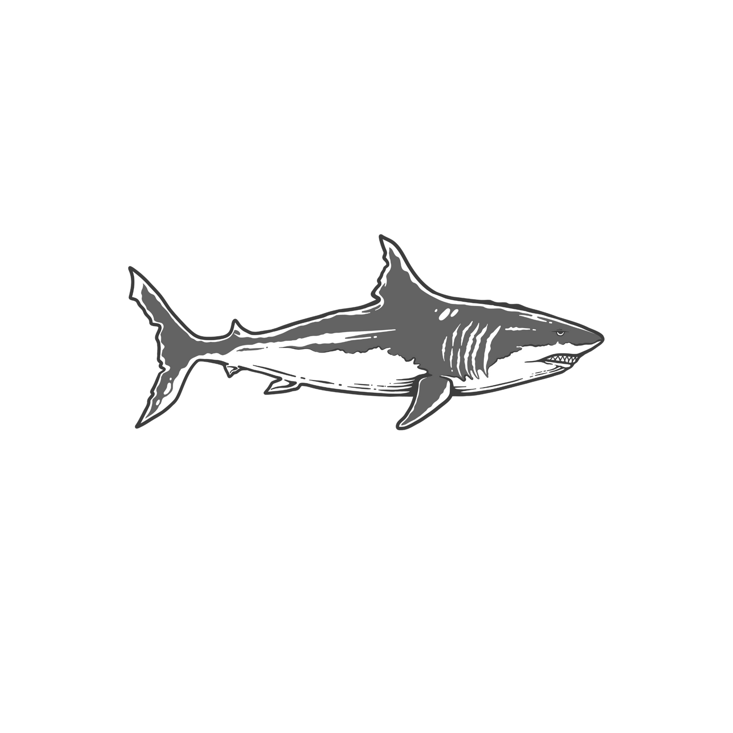 Atlantic White Shark Sticker